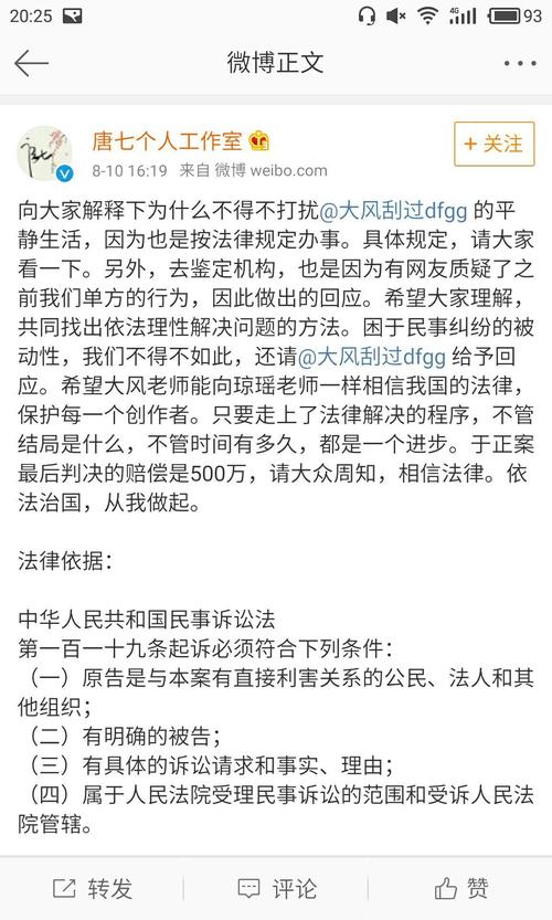 查处法律服务侵公案