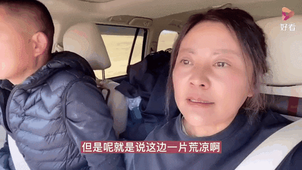西藏自驾遭两狼夹击