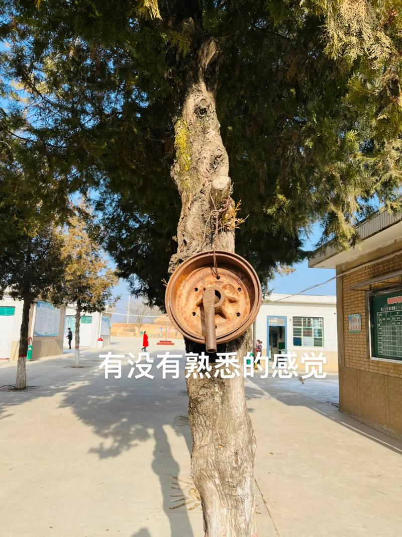 2025新澳门天天开奖结果和换下课铃学生大哭与换下课铃学生大哭视频